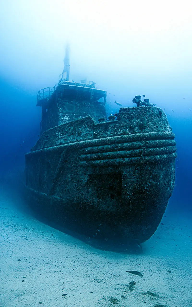 Future-Proof Your Ad Spend: Why Google Tag Gateway Is a Critical Update